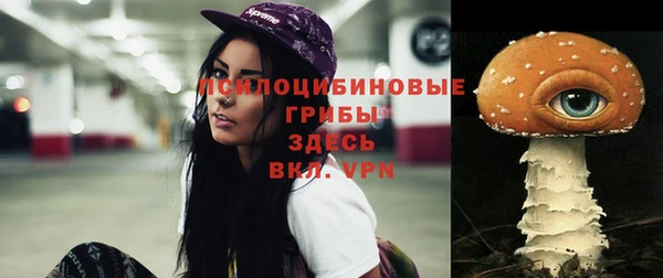 хмурый Абдулино