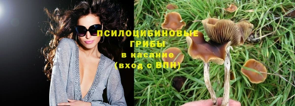 трава Алексин