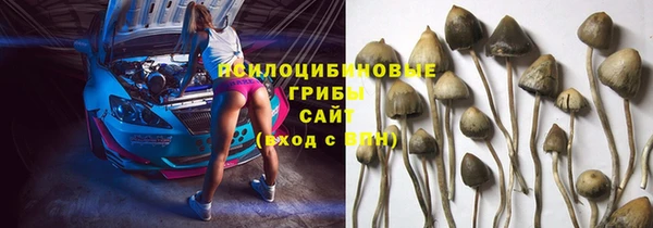 2c-b Алексеевка