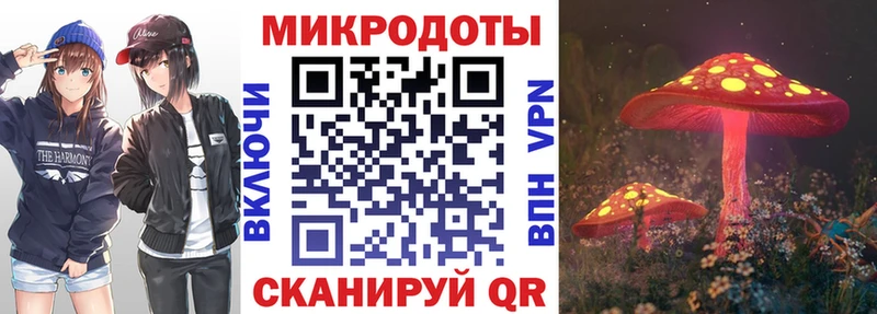 хочу наркоту  Зубцов  Галлюциногенные грибы GOLDEN TEACHER 